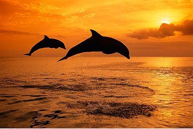 完美还原！《霍格沃兹：遗产》画面对比原版电影